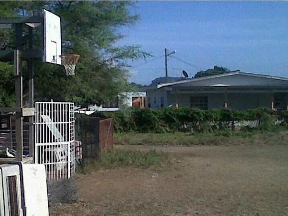 NBA Hoops Around the World TheNbaZone