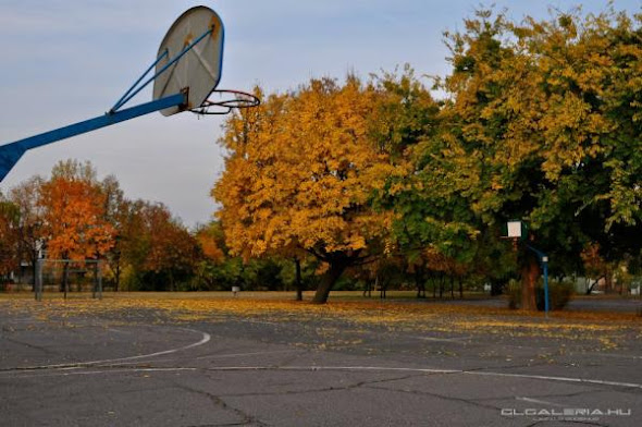 NBA Hoops Around the World TheNbaZone